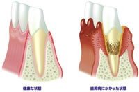 診療科目4